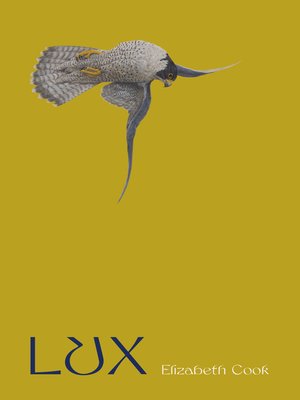 Lux - ebook